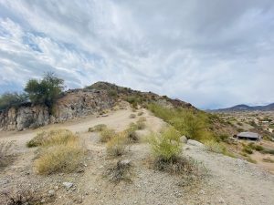 Brown Road Hill Trail