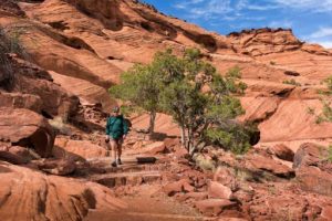 Canyon de Chelly Trail