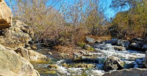 Los Penasquitos Canyon Preserve