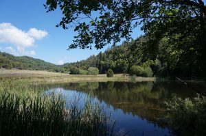 Palomar Mountain State Park