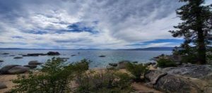 Whale Beach Trail