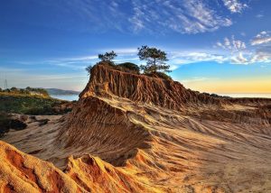 Torrey Pines State Reserve