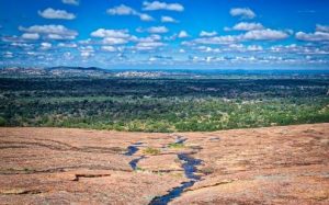 Tower Loop Trail 