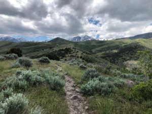 Yellow Fork Trail