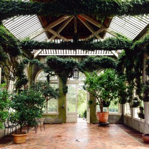 Dumbarton Oaks Gardens