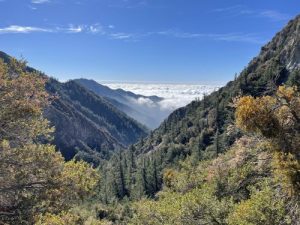 Inspiration Point Hiking Trail