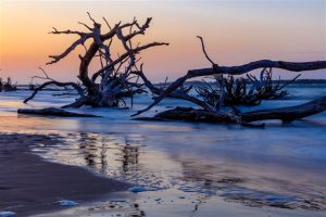 Little Talbot Island State Park