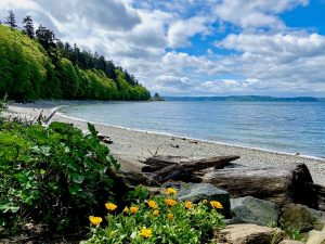 Alki Beach