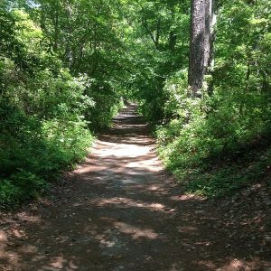 Cape Henry Trail