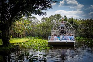 Everglades Nature Tour