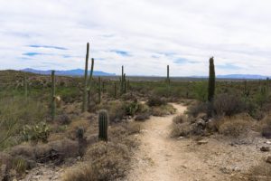 Freeman Homestead Nature Trail