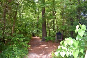 Indian River Park Trail