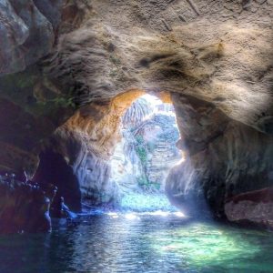  La Jolla Sea Caves Kayak Tour