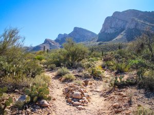 Linda Vista Trail