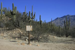 Sutherland Trail