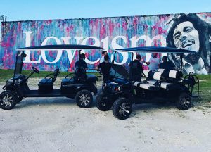 Wynwood Art Walk and Golf Cart Tour