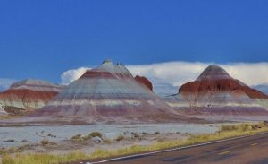 Petrified Forest National Park